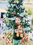 Merry Christmas 2024 - Ghi dấu mùa Giáng sinh an lành Hoa Trạng Nguyên